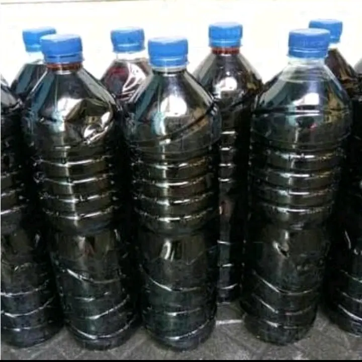 olahan Ketapang Betta series