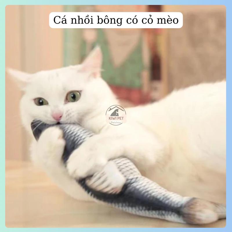 [40cm] Đồ chơi cho thú cưng size Lớn, Cá đồ chơi có CỎ MÈO cho mèo, Đồ chơi giảm stress cho mèo 2