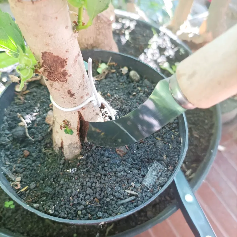 pisau stek tanaman Stainless 8