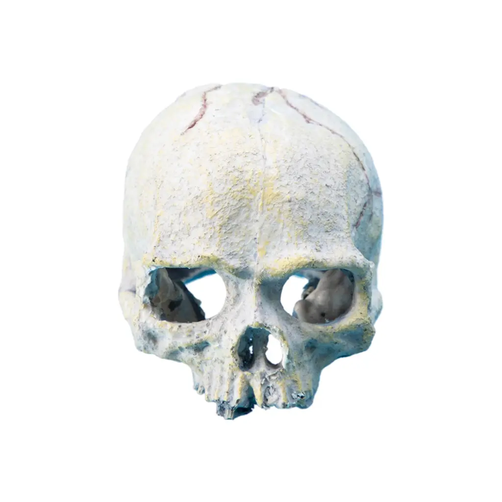 ZYHDZ Realistic Skull Head Decoration Hideouts Cave Shelter For Reptiles And Aquariums