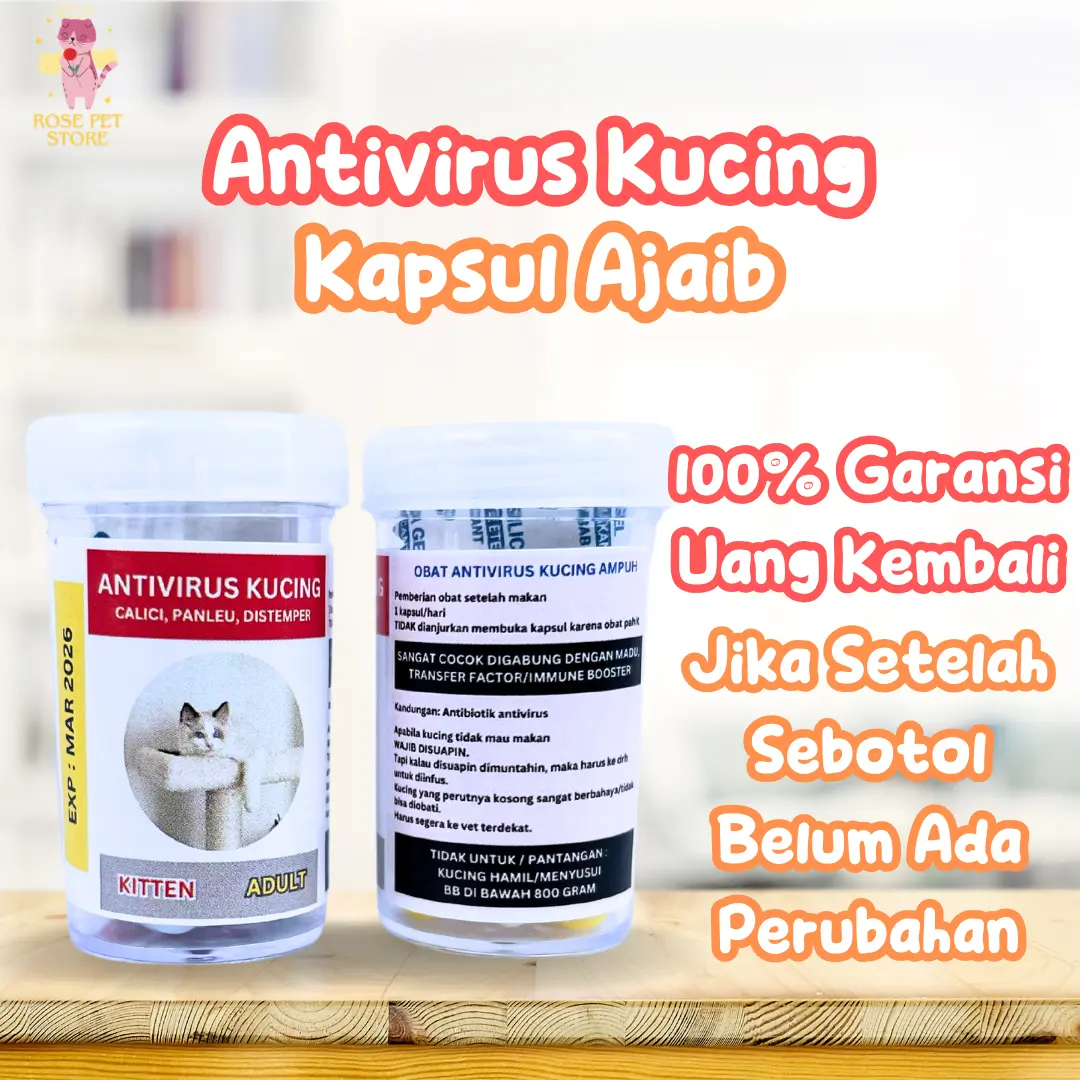KAPSUL AJAIB - OBAT ANTIVIRUS PANLEU, CALICI, DISTEMPER, FIP OBAT VIRUS KUCING CALICI PANLEUKOPENIA DISTEMPER FIP PALING AMPUH ANTIVIRUS CAT | KAPSUL AJAIB MONMONOKO