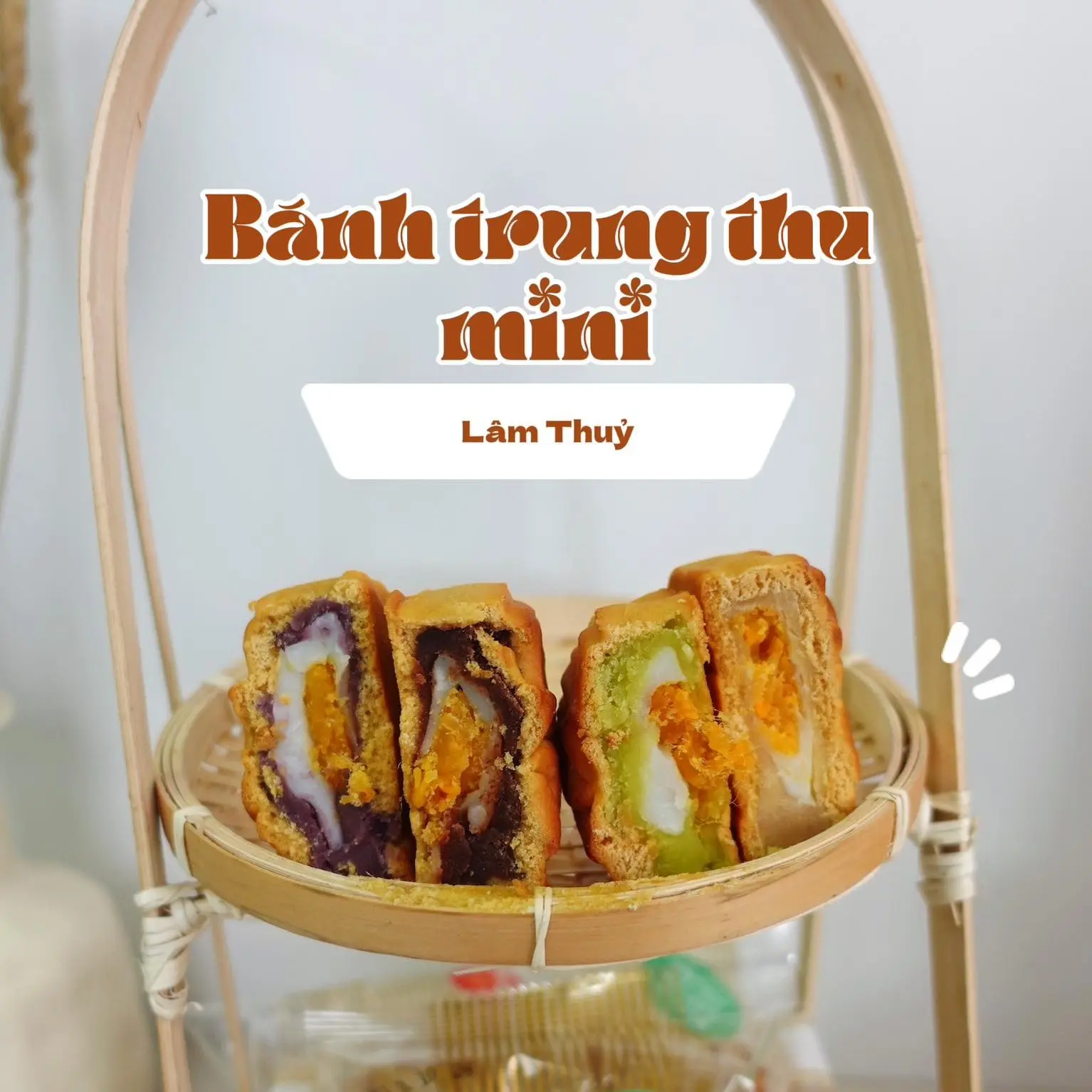 Bánh trung thu mini mochi trứng ruốc Lâm Thủy - hương vị cải thiện mới tháng 4