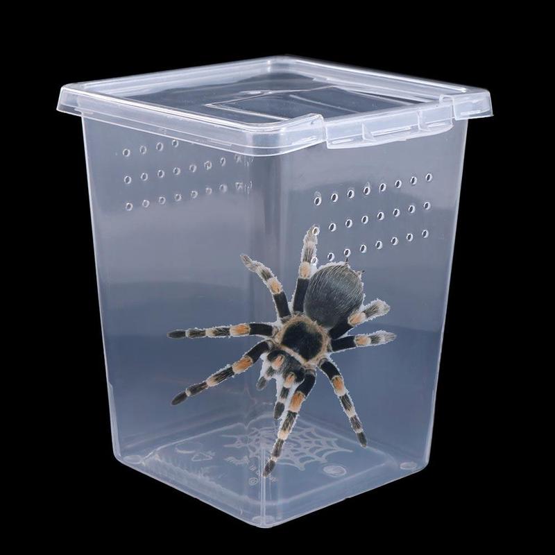 PET HOTLE 1PC Practical Transparent Reptile Accessories Plastic Household Lizard Living Box Hatching Tank Insect Feeding Box Reptile Habitat 4