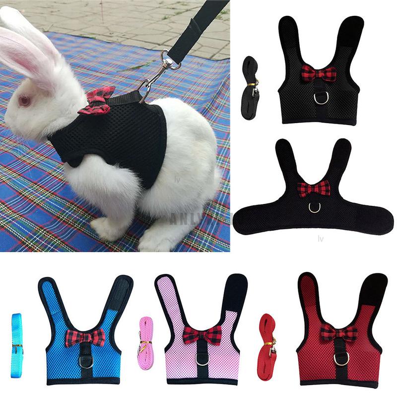 Solid Adjustable Pet Harness and Leash for Rabbit Bunny Cat Ferrets ...