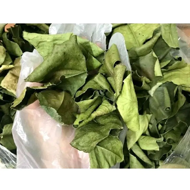 CÀNH LÁ BƯỞI CÓ GAI TƯƠI/ KHÔ DÙNG ĐỂ XÔNG TẮM XẢ XUI - Tẩy UẾ 8