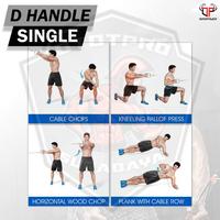 Gambar CA D-Handle BM-A236/CA/DHANDLE /Cable Attachement/Handle Pegangan/Gym/D-Handle Outdoor - Chrome dari Ototpro Surabaya Kota Surabaya 5 Tokopedia