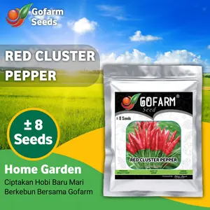 STM - Benih Cabai Red Cluster Pepper Berkualitas GOFARM
