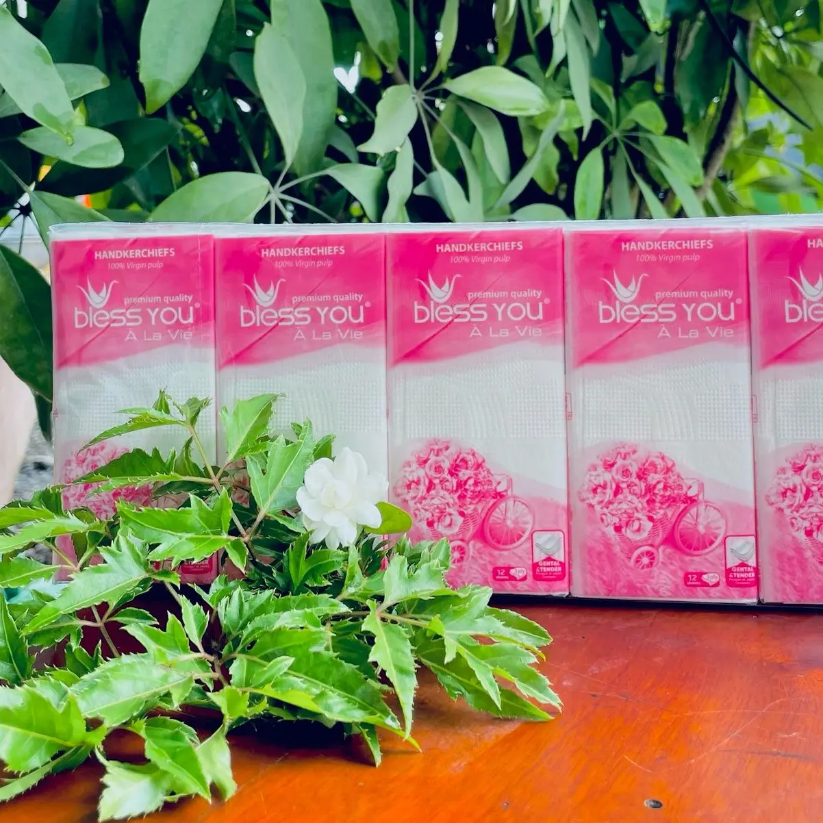 ￼Khăn Giấy Lụa Bless You 3 Lớp Cao Cấp Lốc 10 Gói Bỏ Túi Tiện Lợi