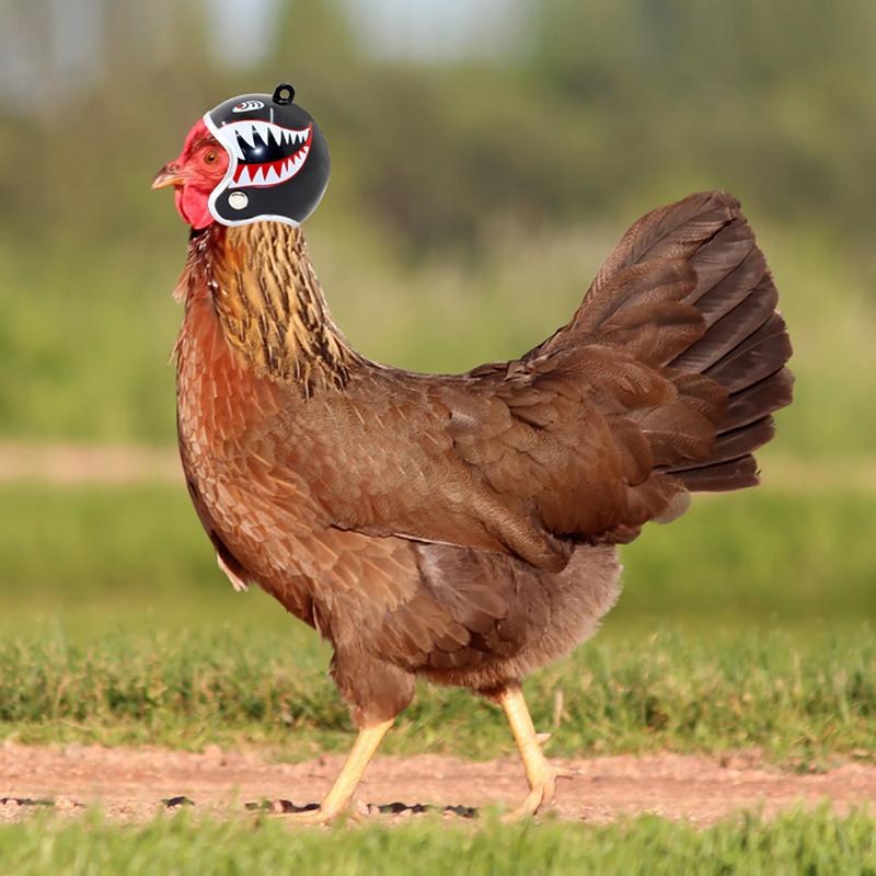 Product Introduction of Funny Chicken Helmet Small Bird Duck Quail Hard Hat Headgear Prevent The Chicken From Smash Protect for Hens Head Small Pet Clothing 9