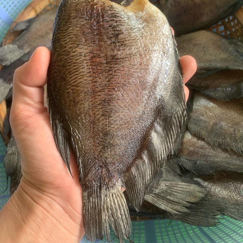 1 Ký Khô Cá Sặc 2 Nắng Vị Vừa (6 con) không ship miền bắc food