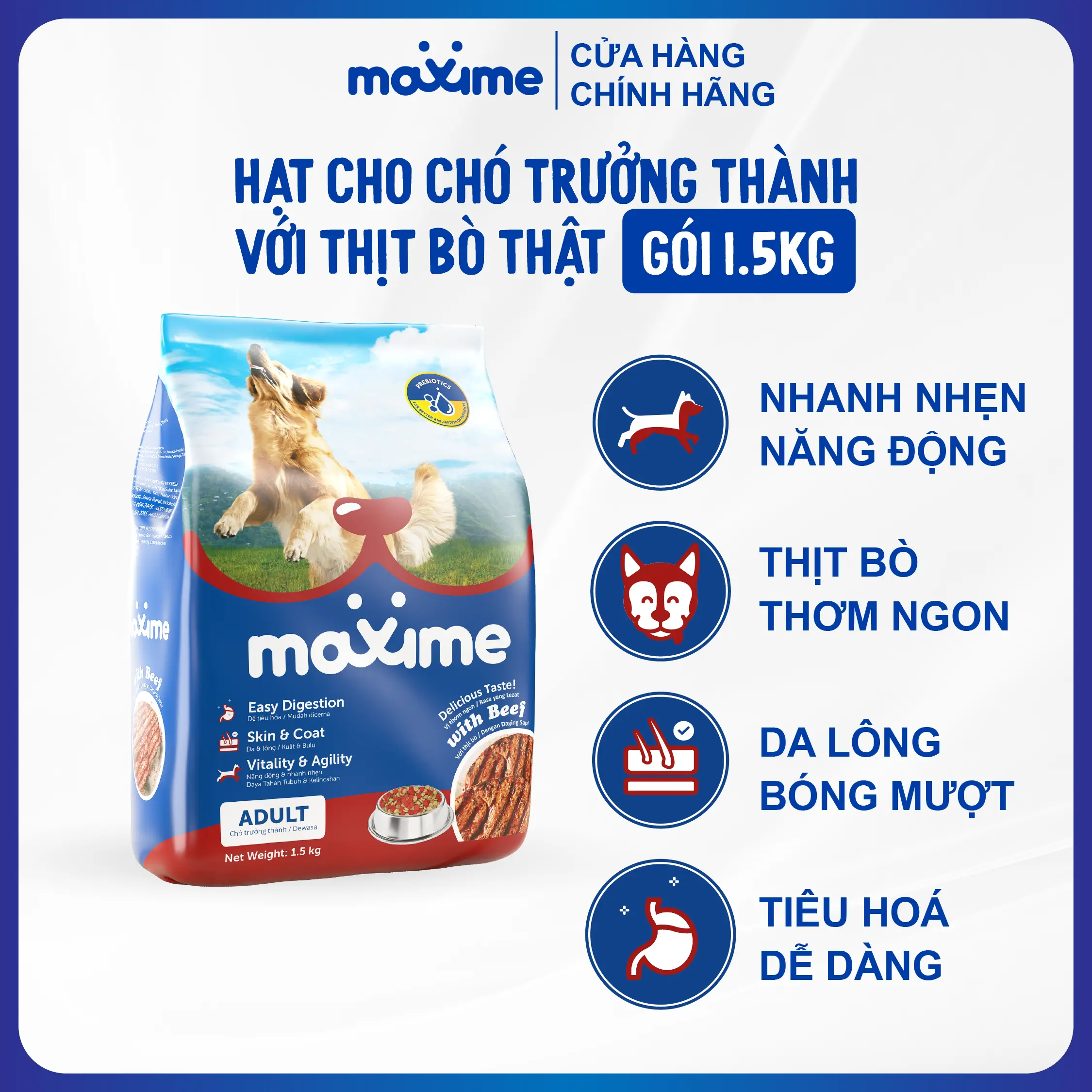 Hạt Maxime Thịt Bò Thật 1.5Kg Cho Chó Trưởng Thành - Tiêu Hóa Dễ Dàng, Da Lông Bóng Mượt