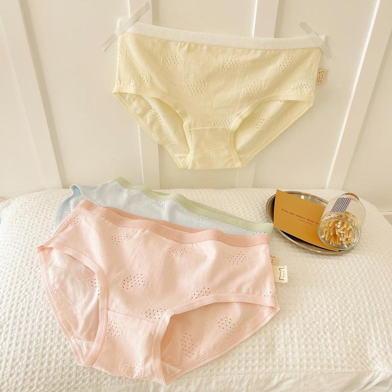 Product Introduction of Combo 5 Quần Lót Nữ Cotton Thông Hơi Thoáng Mát - Set 5 Quần Lót Cotton Cạp Vừa, Co Dãn Thoải  Mái ZANABRA LY06  Thun Voi Women 17