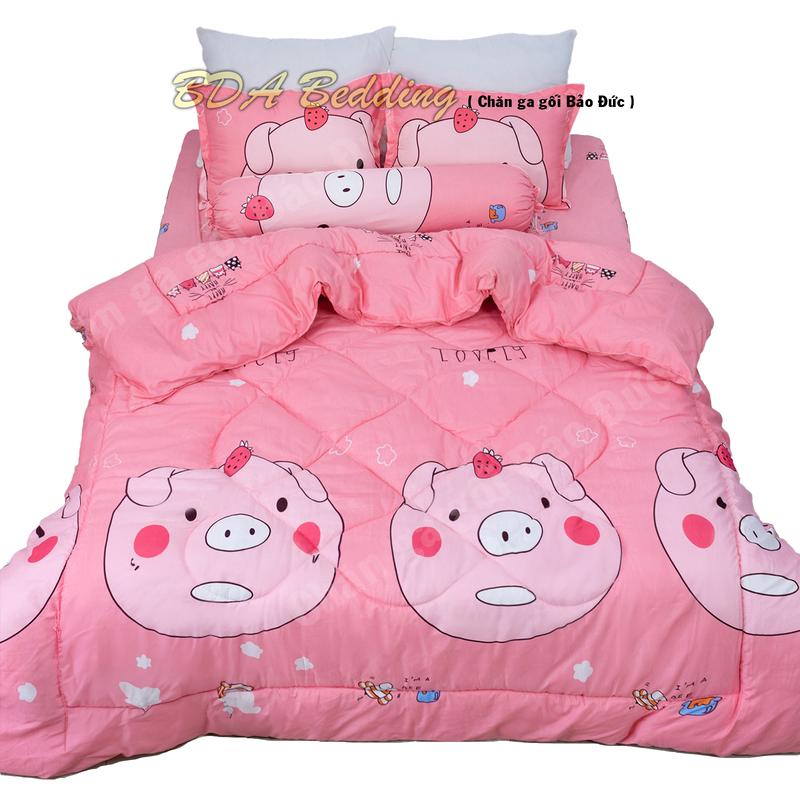 Bộ Chăn Phao 5 món Cotton Poly 1m6,1m8 Chăn Mùa Đông Ấm Sẵn Ruột Ga Gối Mền Đẹp set5món chăngagối chănphao