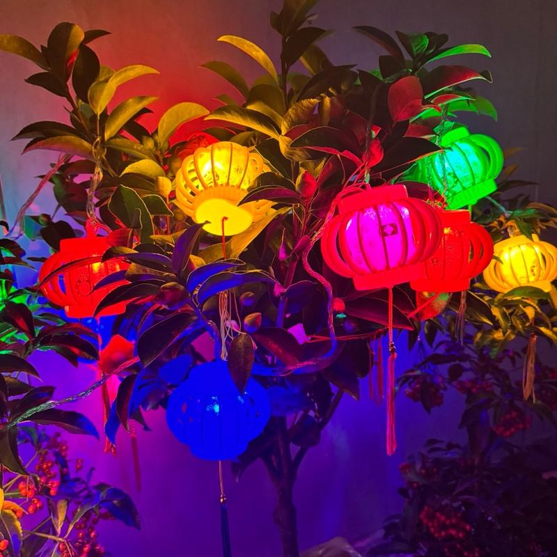 Dây đèn led lồng đèn  cầu vòng màu  mã SS7916 5m  45 led 15 bóng trang trí tết 2