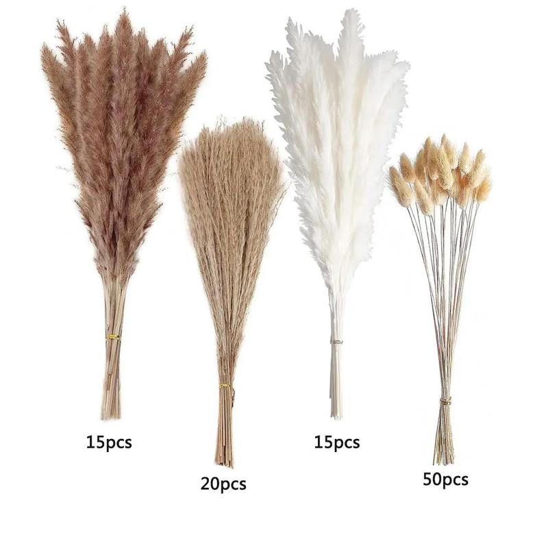 Natural Dried Pampas Grass (100pcs), Home Decorative Grass, Dried Pampas Grass for Home Table Decoration, Party Decor, Room Decor, Room Accessories 2