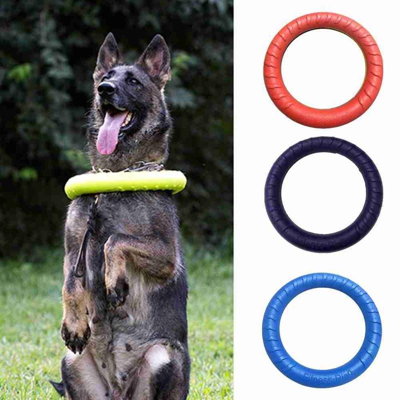 thingin Training Supplies Interactive Anti-Bite Dog Training - TikTok ...