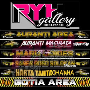 STIKER HIASAN AQUARIUM CHANNA MARU LIODES | CHANNA AURANTI MACULATA | SANES BOGO SOLOKAN | HARTA TAHTA CHANNA | BOTIA AREA | AURANTI AREA TERMURAH PREMIUM QUALITY