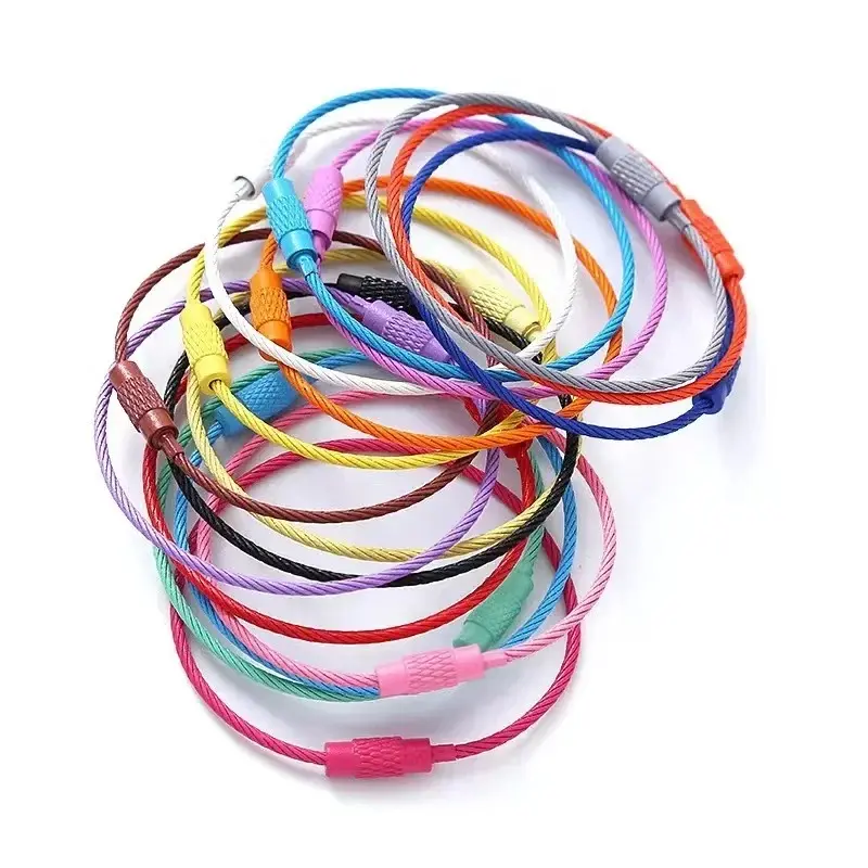 Colored Painted Steel Wire Keychain DIY Keyring Accessories Circle Rope Cable Loop Camp Luggage Tag Screw Lock Gadget