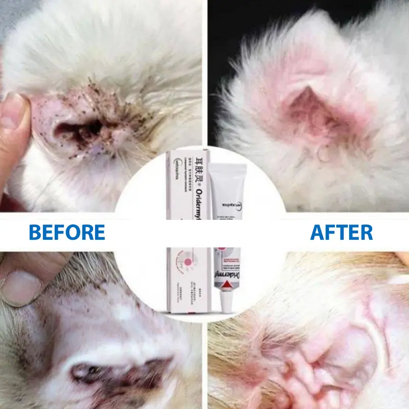 Kem Dưỡng Da Oridermyl, Để Điều Trị Mạt, Cho Mèo Và Chó, 10g 4