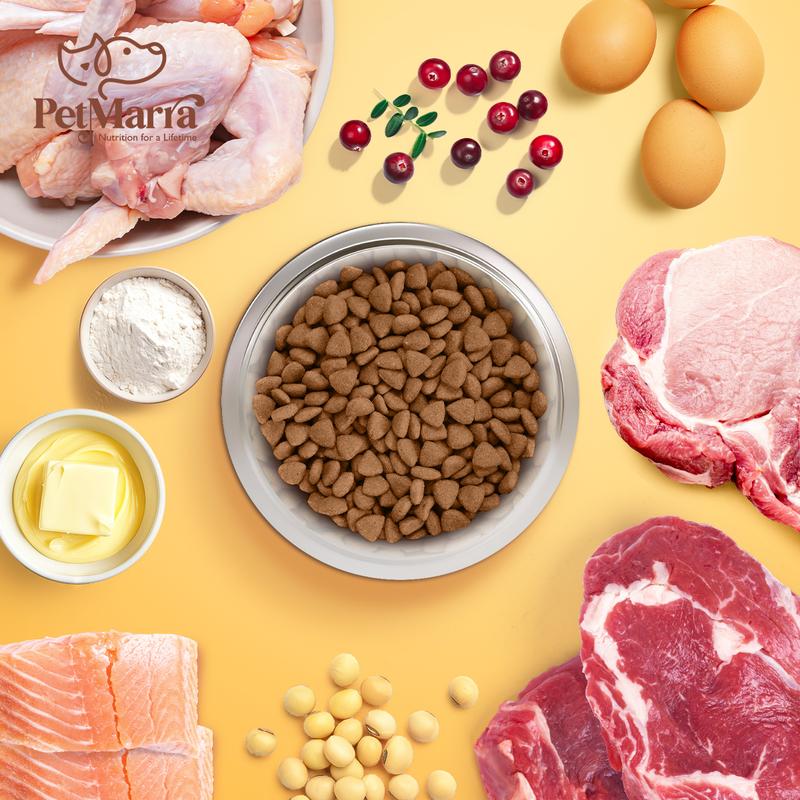 Product Introduction of PetMarra Natural Meat Loaf Adult Dog Wet Food Can Lamb Beef and Vegetables Chicken Liver Flavor 375g Collection dogs 15