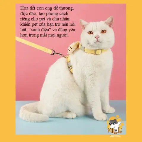 MOLACA - Dây dắt, yếm dắt chó mèo đi dạo hình con ong dễ thương, an toàn, thoải mái, dễ điều chỉnh (HÀNG LOẠI 1, CÓ SẴN) - DYO 1