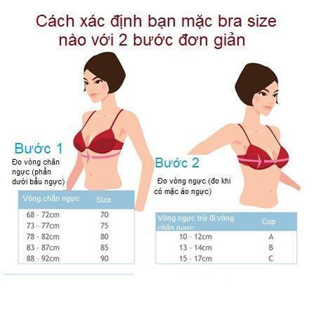 Product Introduction of Áo Lót Nữ Đệm Mỏng Không Gọng Cổ Chữ U Gợi Cảm B233 0