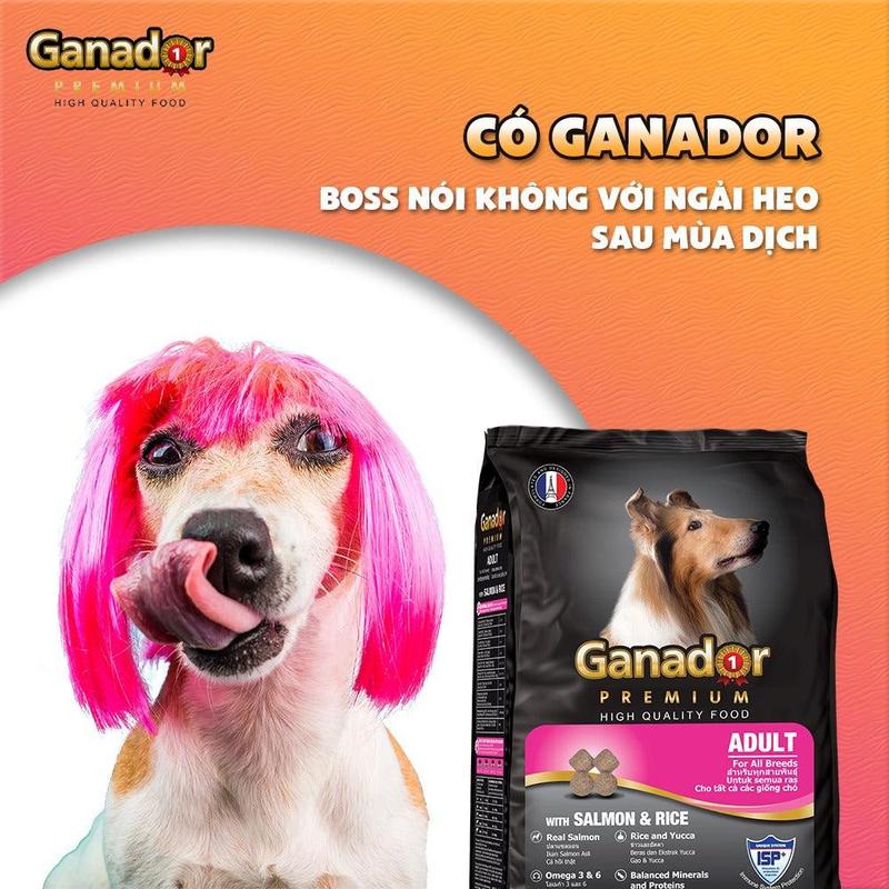 [ Combo 5 gói ] Thức ăn Ganador cho chó con, chó trưởng thành bịch 400g 6