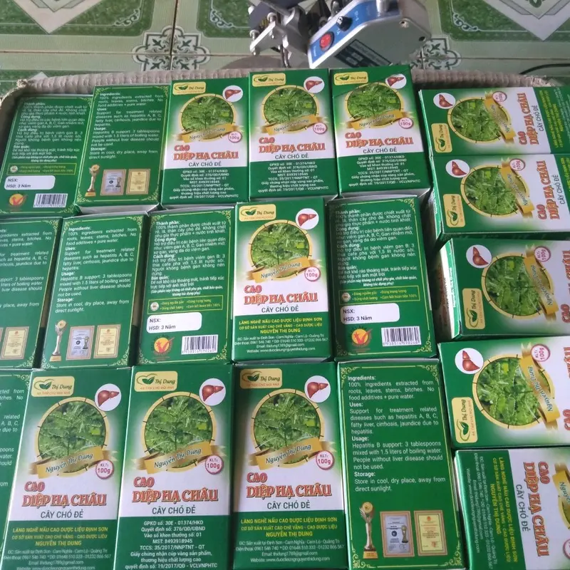Cao Diệp Hạ Châu Nguyễn Thị Dung - 200g - Đạt Tiêu Chuẩn GMP, HACCP, ISO, ATTP 4