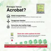 Gambar Acrobat 50 WP (40gr) - Fungisida Sistemik Untuk Layu Fusarium Jamur dari BASF Petani Sejahtera Kota Tangerang 3 Tokopedia