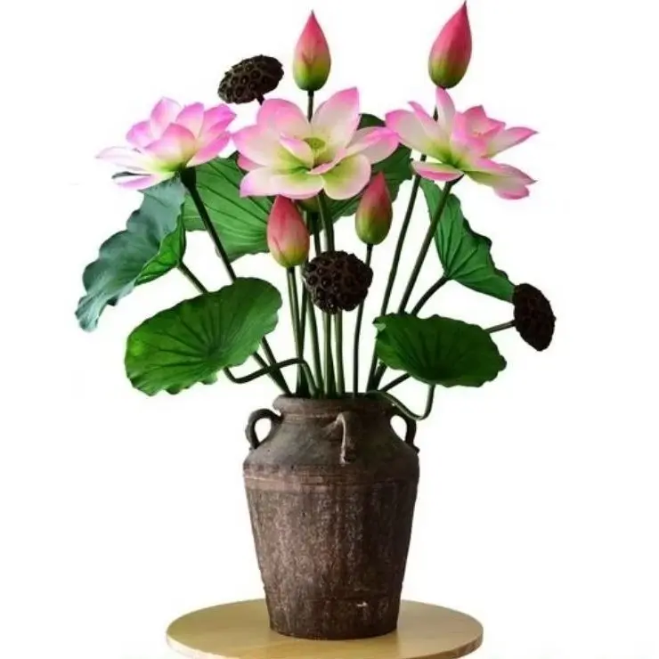 Promo benih biji teratai lotus seroja pink 10 biji Bunga Bibit Hitam Bonsai Pupuk Daun