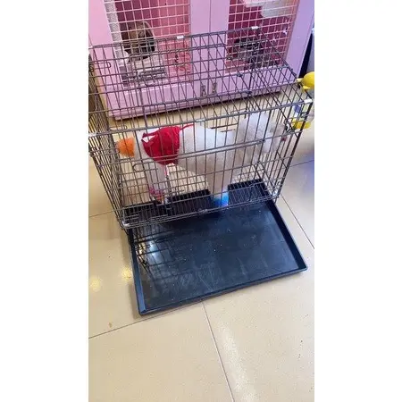 Lồng vân đá nan dày, chuồng vân đá sơn tĩnh điện cho chó mèo thỏ bọ thú cưng dưới 25 kg 4