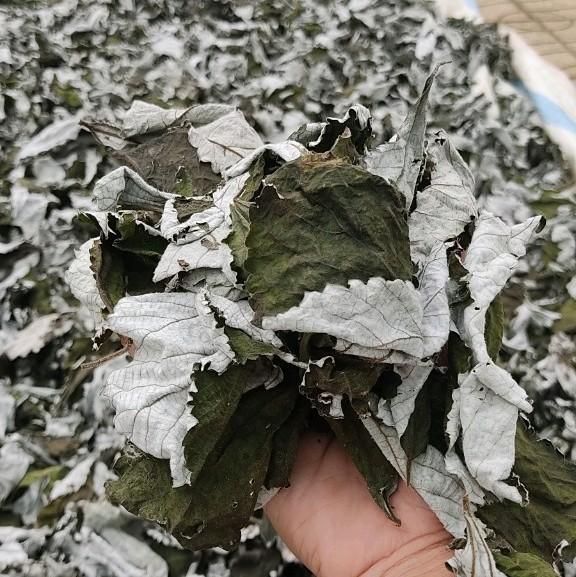 1kg bột Lá Gai khô nguyên chất làm bánh 4