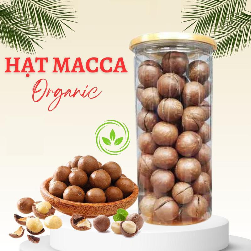  Hạt Mắc Ca nứt vỏ Đăk Lăk Lon 500gram - GIÒN NGON 