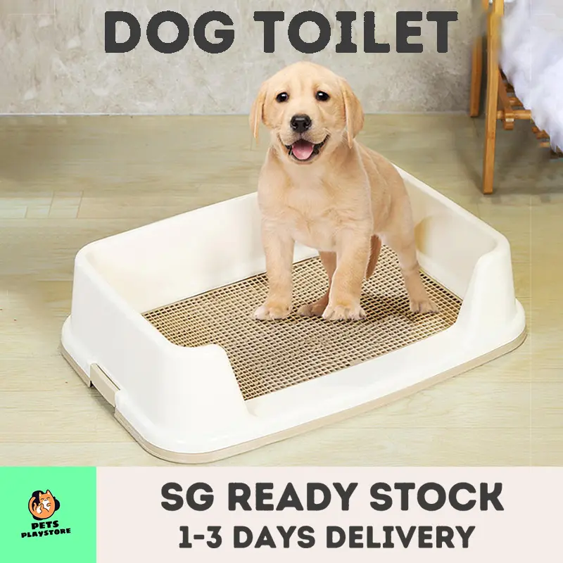 Dog Toilet Dog Pee Tray Pet Litter Box Training Potty Urinal Dog Supplies Small Breed Dog