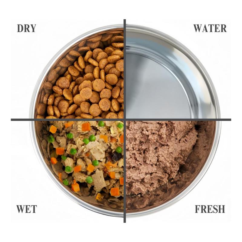 Product Introduction of Cat Paw Pattern Pet Bowl, 4 Counts/set Pet Feeding Plate, Pet Feeding Supplies for Cats and Small Dogs, Easy to Clean, Suitable for Feeding, Drinking 7