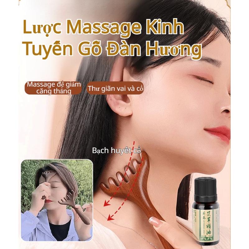Lược Mát Xa Bấm Huyệt Năm Chấu, Máy Massage Đầu, Để Chà Xát 1
