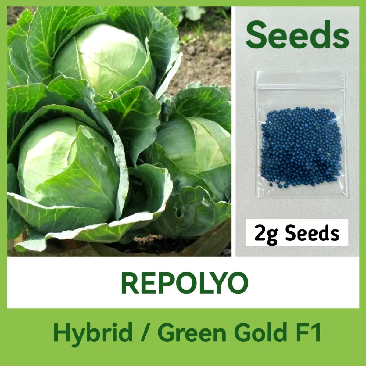 REPOLYO SEEDS - GREEN GOLD F1 Variety - High Quality Vegetable Seeds ...