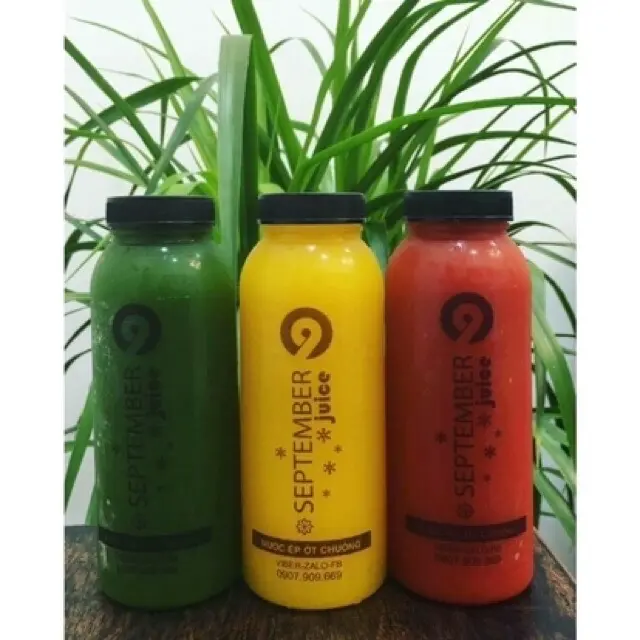 Combo 10 chai đựng chè dưỡng nhan 330ml (miệng rộng) 2