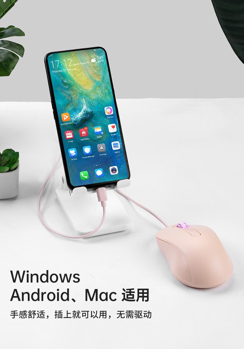 Product Introduction of In Stock Type-C Interface Silent Wired Mouse Compatible with Thunderbolt for Girls Laptop Tablet Phone 8