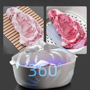 Household food thawing machine rapid constant temperature thawing plate steak rapid thawing atomizer