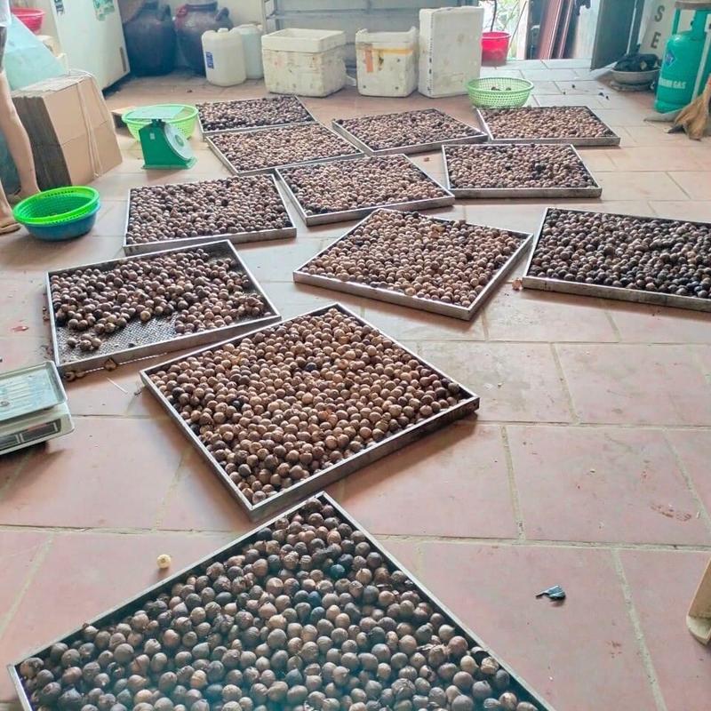 500g hộp VIP Tỏi Đen việt Organic Hữu cơ 3