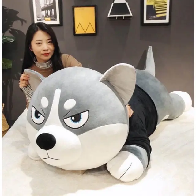 {Ricky toy} Gấu bông chó husky xám mặc áo co dãn 4 chiều siêu to khủng lồ gối ôm lớn quà tặng ý nghĩa Thú Bông Thú Nhồi Bông