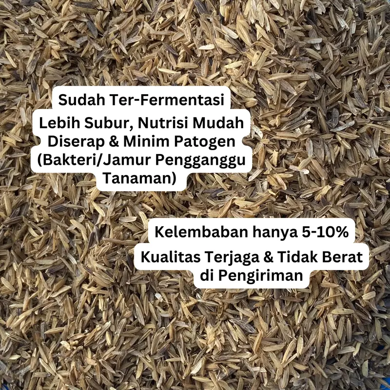 Sekam Mentah Fermentasi - Media Tanam Tanaman 3