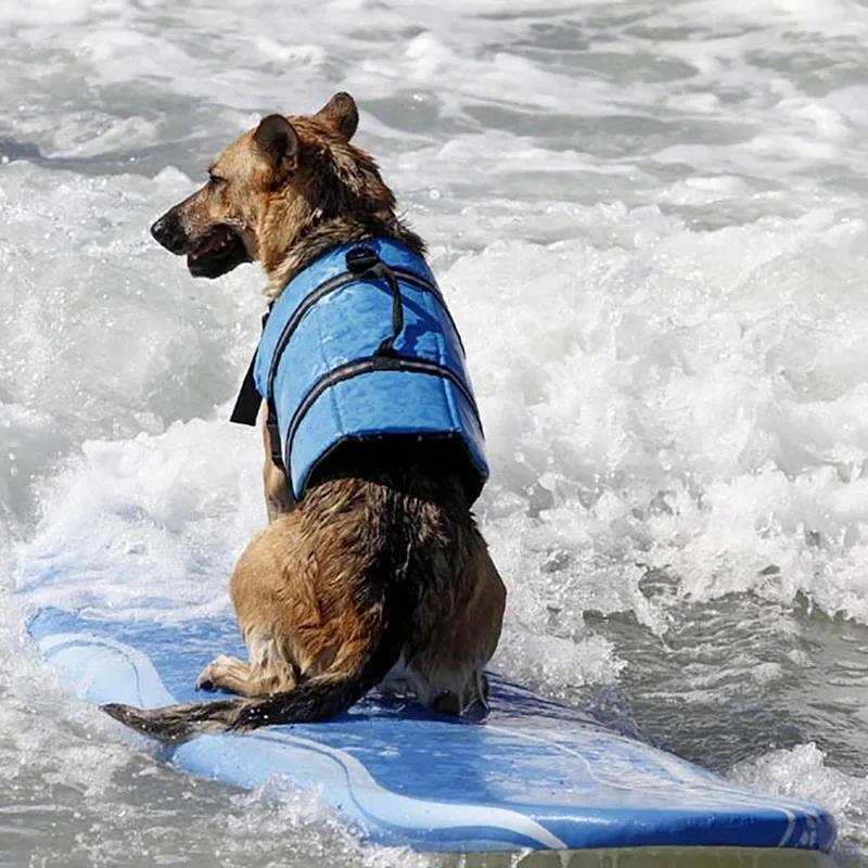 Product Introduction of Summer Reflective Dog Life Vest Jacket Pet Clothes Yorkshire Chihuahua Shirts Puppy Swimwear Dog Tshirt Pets Clothing 8