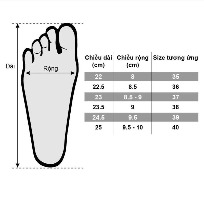 Product Introduction of Giày Cao Gót Mũi Nhọn Cao 7cm 9cm Phối Nơ Hottrend Chất Da Bóng Siêu Xinh HL05 - Dành Cho Nữ - Shoes 0