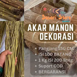 Akar Manon Dekorasi Panjang 160CM Isi 100 Batang 1Kg Muat 200 Batang Manon Kering Siap Pakai