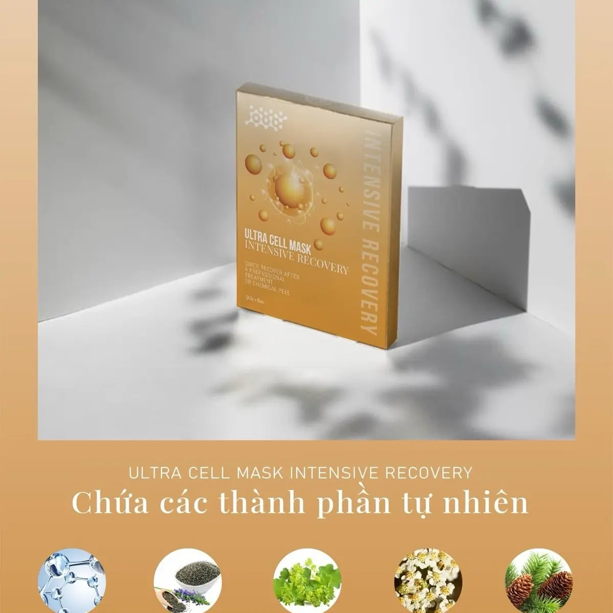 Mặt nạ thạch phục hồi da sau xâm lấn Leau Claire