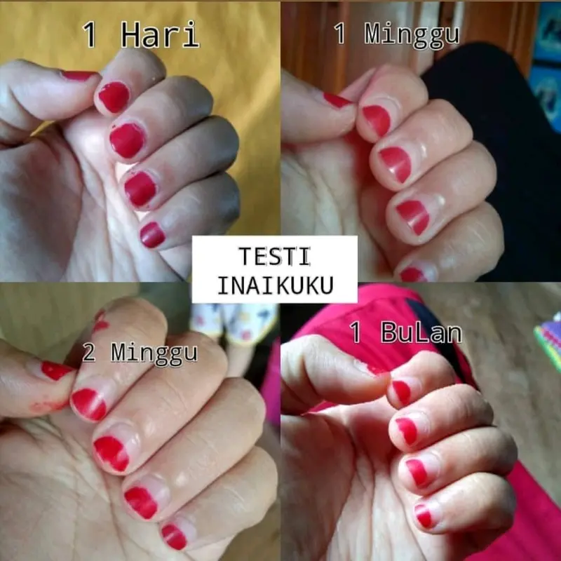 INAI KUKU MUSLIMAH isi 15 ml awet sampai kuku tumbuh sah sholat 5