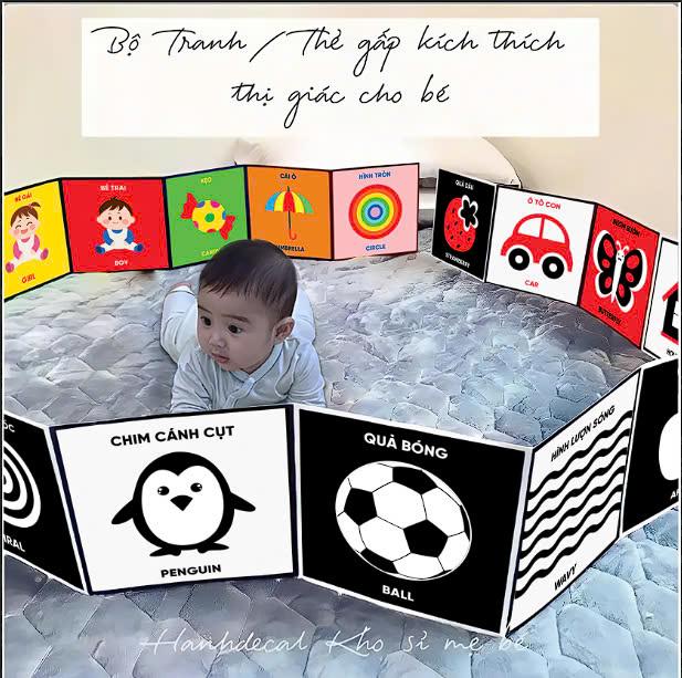 Sách - Kích Thích Thị Giác Cho Trẻ 0-3 Tuổi - Đồ Chơi Cho Bé Sơ Sinh Giúp Phát Triển Giác Quan Và Não Bộ