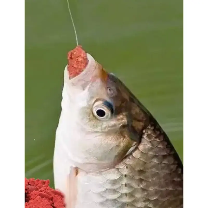 umpan pelet cacing bubuk umpan ikan mas Aroma wangi 2